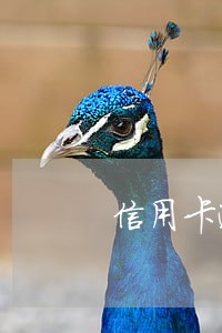 信用卡逾期征信上保存多久 信用卡逾期征信上保存多久