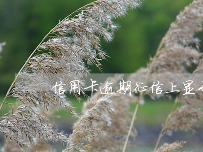 信用卡逾期征信上显示账户正常 信用卡逾期征信上显示账户正常