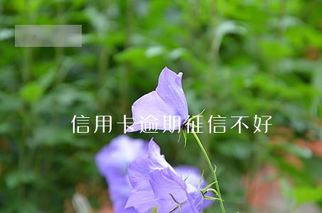 信用卡逾期征信不好