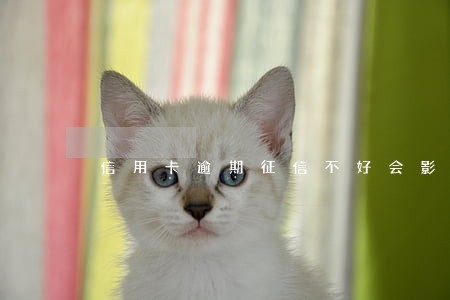 信用卡逾期征信不好会影响政审吗 信用卡逾期征信不好会影响政审吗