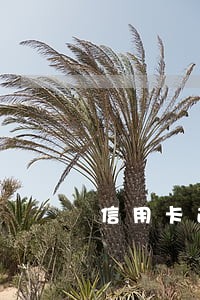 信用卡逾期征信不好怎么办