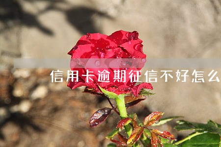 信用卡逾期征信不好怎么改变