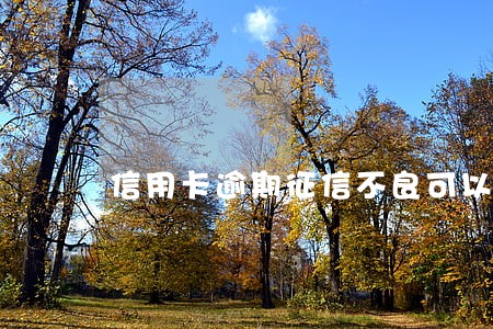 信用卡逾期征信不良可以开店吗