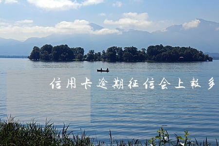 信用卡逾期征信会上报多少次 信用卡逾期征信会上报多少次