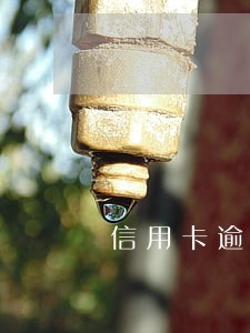 信用卡逾期征信会干嘛 信用卡逾期征信会干嘛