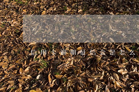 信用卡逾期征信会是怎么样的