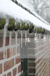 信用卡逾期征信会立马体现吗 信用卡逾期征信会立马体现吗