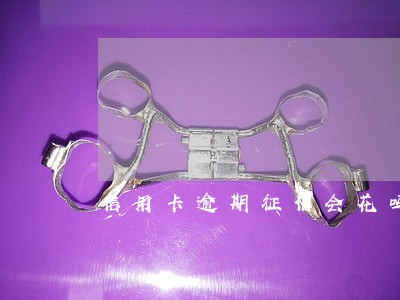 信用卡逾期征信会花吗 信用卡逾期征信会花吗