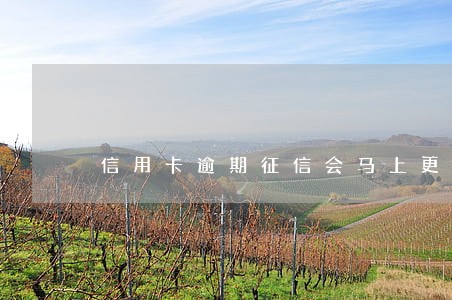 信用卡逾期征信会马上更新吗 信用卡逾期征信会马上更新吗