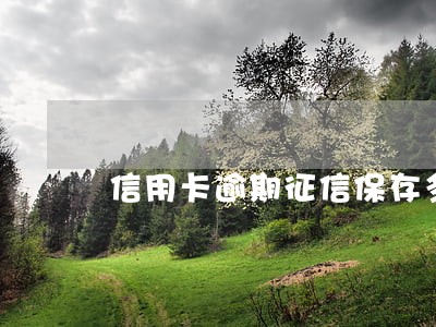 信用卡逾期征信保存多久 信用卡逾期征信保存多久