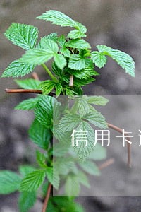 信用卡逾期征信保留多久 信用卡逾期征信保留多久