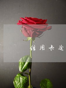 信用卡逾期征信俩年滚动
