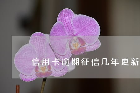 信用卡逾期征信几年更新 信用卡逾期征信几年更新