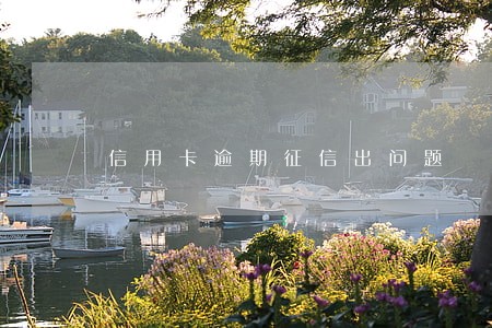 信用卡逾期征信出问题 信用卡逾期征信出问题