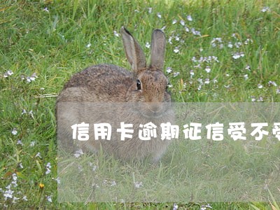 信用卡逾期征信受不受影响 信用卡逾期征信受不受影响