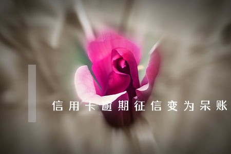 信用卡逾期征信变为呆账 信用卡逾期征信变为呆账