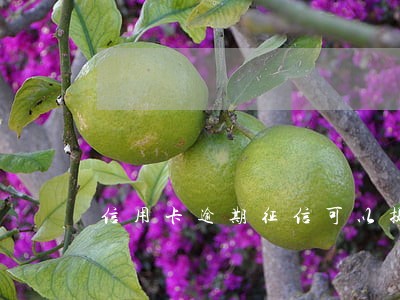 信用卡逾期征信可以提前注销吗 信用卡逾期征信可以提前注销吗