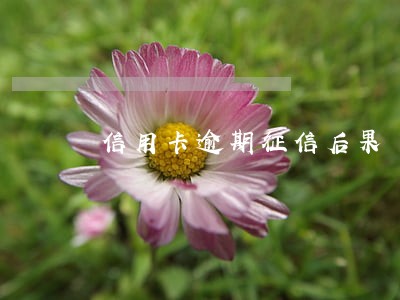 信用卡逾期征信后果 信用卡逾期征信后果