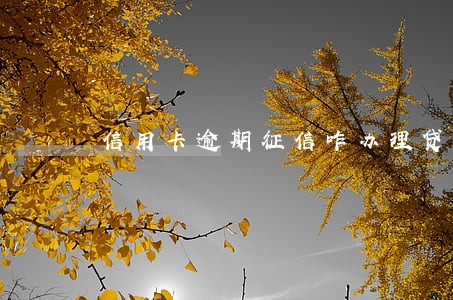 信用卡逾期征信咋办理贷款 信用卡逾期征信咋办理贷款