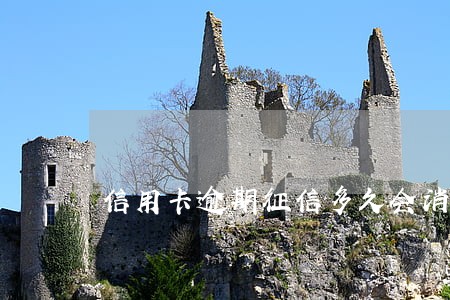 信用卡逾期征信多久会消失 信用卡逾期征信多久会消失