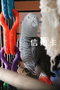信用卡逾期征信多久能查到 信用卡逾期征信多久能查到