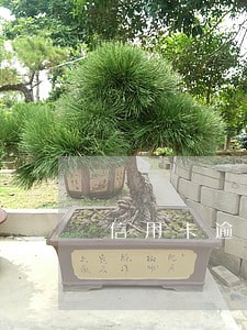信用卡逾期征信就不良了吗 信用卡逾期征信就不良了吗