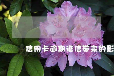 信用卡逾期征信带来的影响是什么