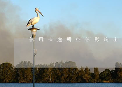 信用卡逾期征信影响出国吗 信用卡逾期征信影响出国吗