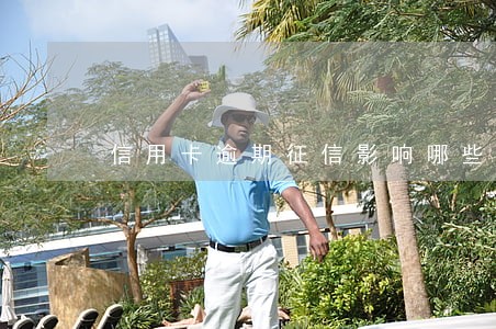 信用卡逾期征信影响哪些事情 信用卡逾期征信影响哪些事情
