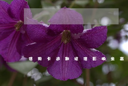 信用卡逾期征信影响坐高铁 信用卡逾期征信影响坐高铁