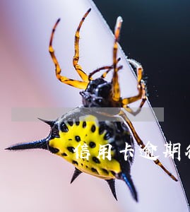 信用卡逾期征信影响孩子吧 信用卡逾期征信影响孩子吧