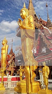 信用卡逾期征信影响考公务员吗 信用卡逾期征信影响考公务员吗