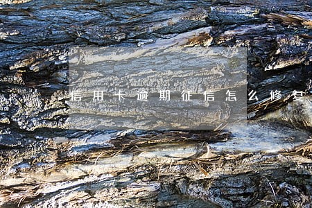 信用卡逾期征信怎么修复 信用卡逾期征信怎么修复