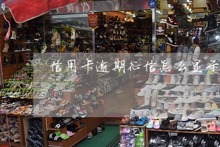 信用卡逾期征信怎么显示 信用卡逾期征信怎么显示