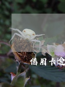 信用卡逾期征信恢复电话 信用卡逾期征信恢复电话