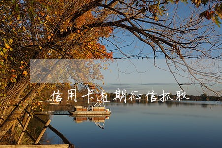 信用卡逾期征信抓取 信用卡逾期征信抓取