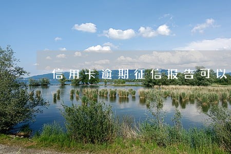 信用卡逾期征信报告可以打出来吗 信用卡逾期征信报告可以打出来吗