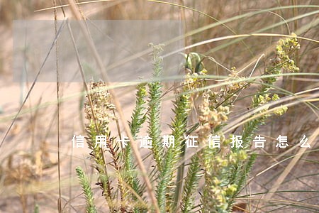 信用卡逾期征信报告怎么看 信用卡逾期征信报告怎么看