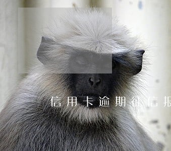 信用卡逾期征信报告提现