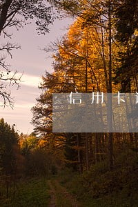 信用卡逾期征信报告是什么 信用卡逾期征信报告是什么