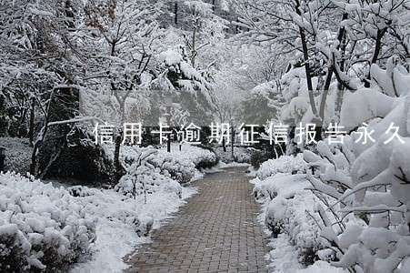 信用卡逾期征信报告永久