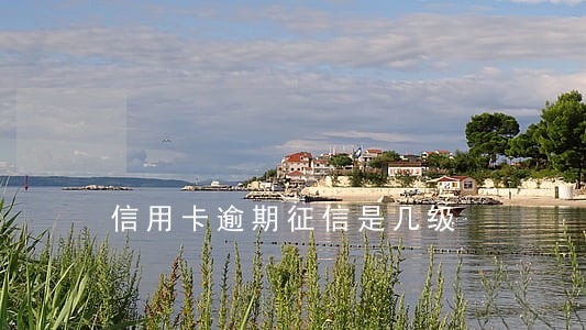 信用卡逾期征信是几级 信用卡逾期征信是几级
