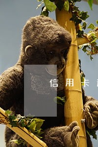 信用卡逾期征信显示可疑