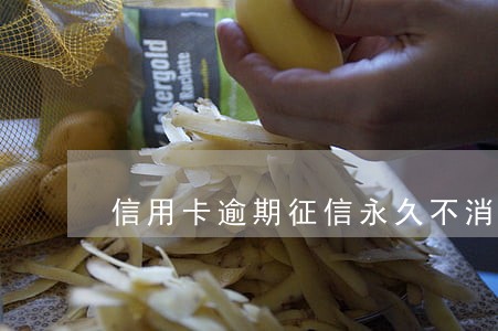 信用卡逾期征信永久不消吗 信用卡逾期征信永久不消吗