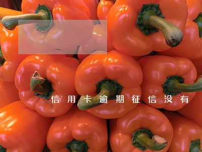 信用卡逾期征信没有