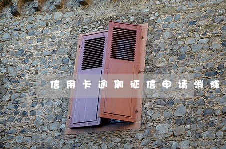 信用卡逾期征信申请消除 信用卡逾期征信申请消除