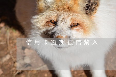 信用卡逾期征信禁入