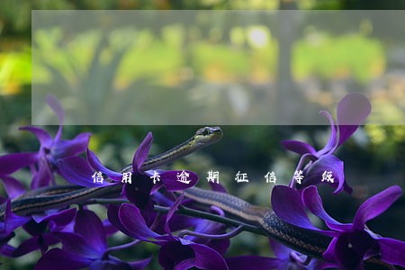 信用卡逾期征信等级 信用卡逾期征信等级