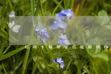 信用卡逾期征信能撤销吗 信用卡逾期征信能撤销吗