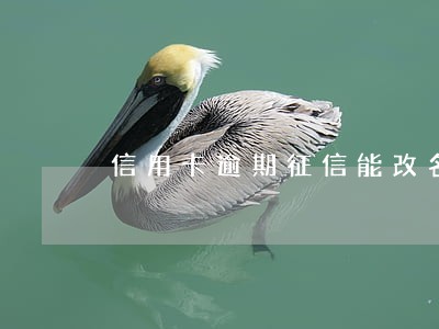 信用卡逾期征信能改名吗 信用卡逾期征信能改名吗